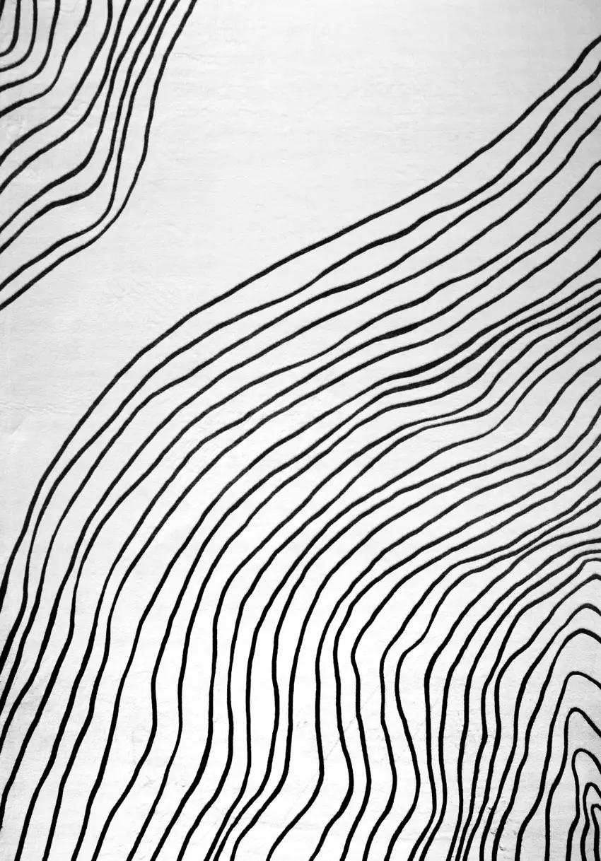 Black and White Abstract Distressed Area Rug Photo 4