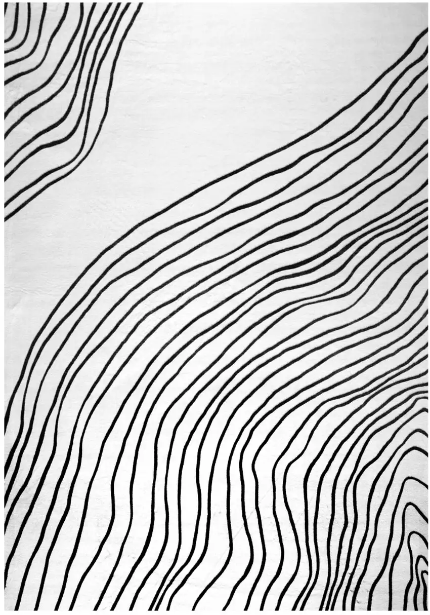 Black and White Abstract Distressed Area Rug Photo 2