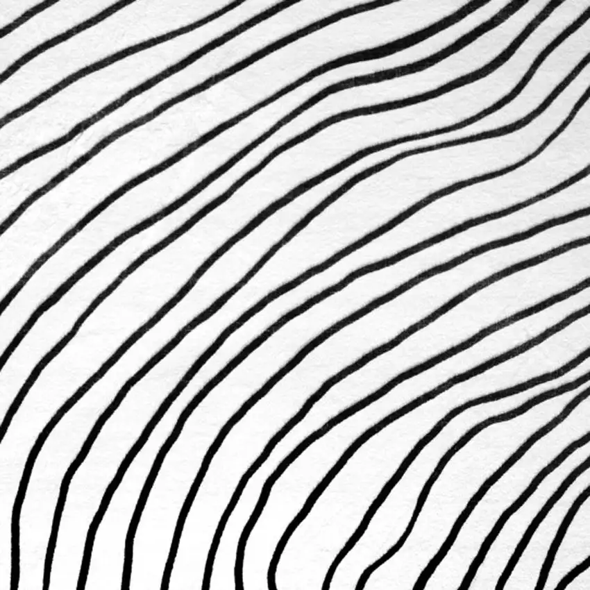 Black and White Abstract Distressed Area Rug Photo 2