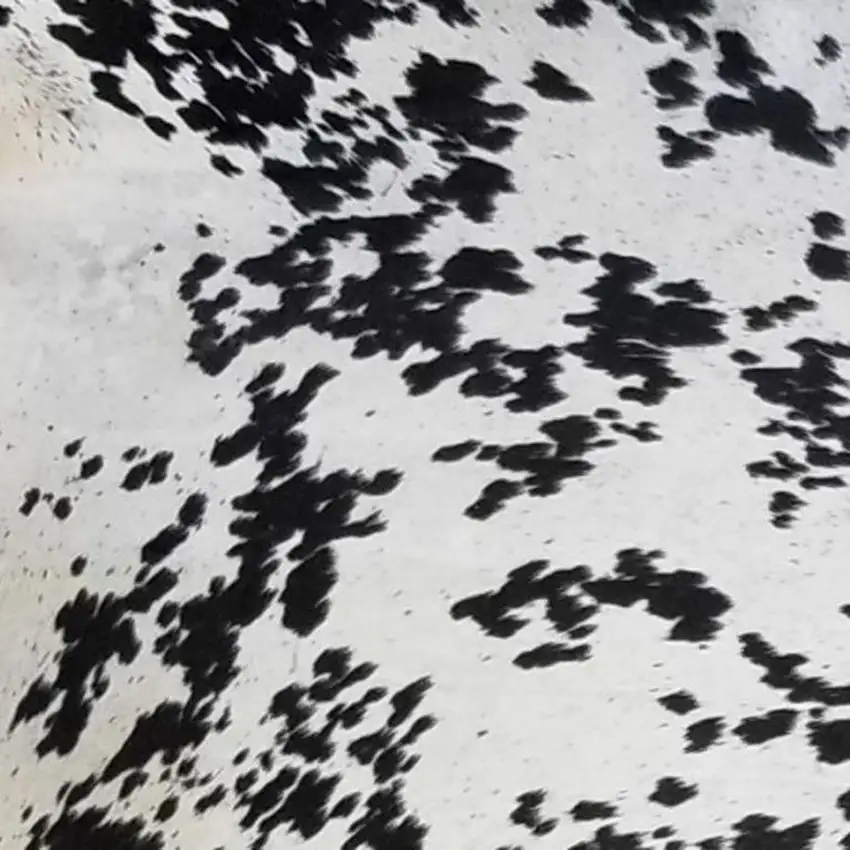 6 Ft Black And White Brindled Cowhide Rug Photo 5