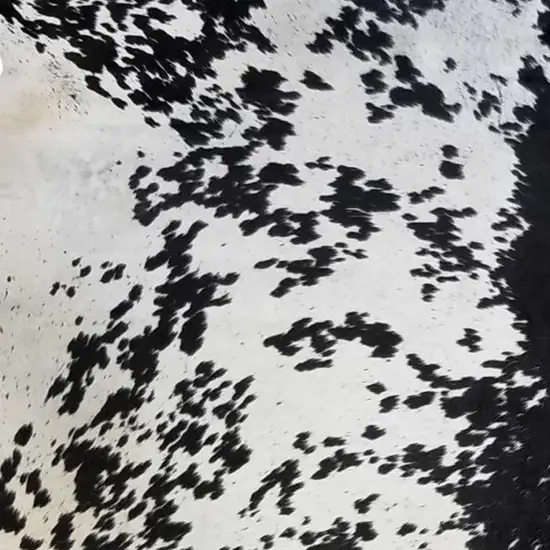 Black And White Cowhide Handmade Area Rug Photo 7