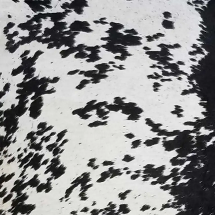 Black And White Cowhide Handmade Area Rug Photo 5