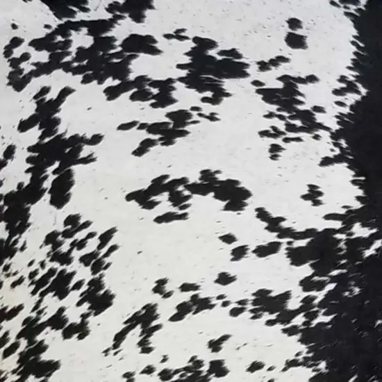 Black And White Cowhide Handmade Area Rug Photo 6