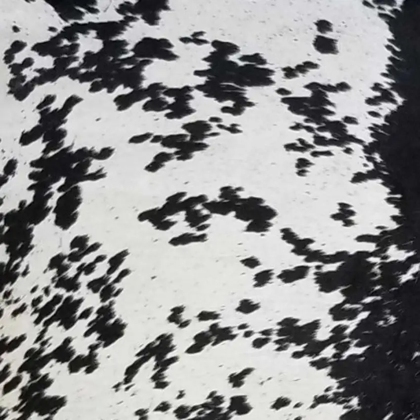 Black And White Cowhide Handmade Area Rug Photo 6