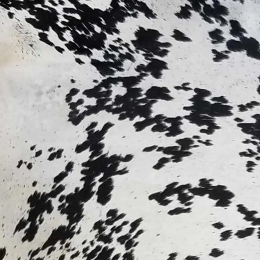 Black And White Cowhide Handmade Area Rug Photo 4