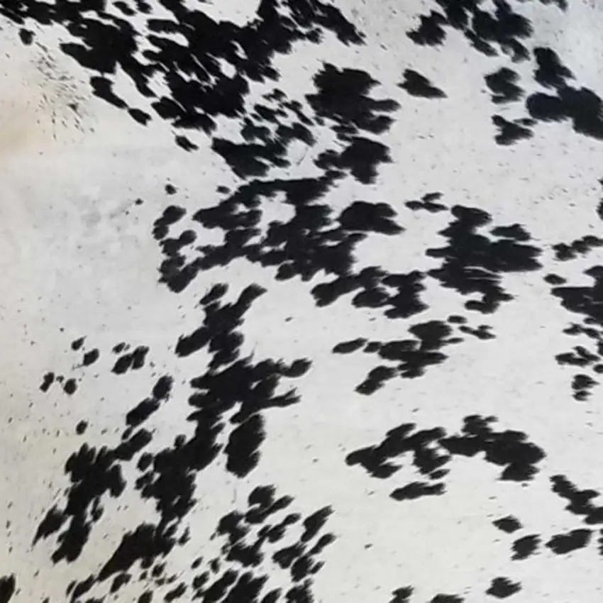 Black And White Cowhide Handmade Area Rug Photo 3