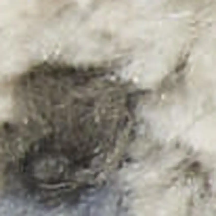 Blue Abstract Area Rug Photo 2