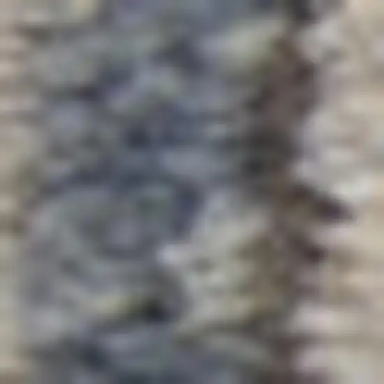 Blue And Beige Oriental Distressed Area Rug Photo 3