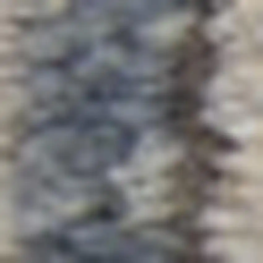 Blue And Beige Oriental Distressed Area Rug Photo 3