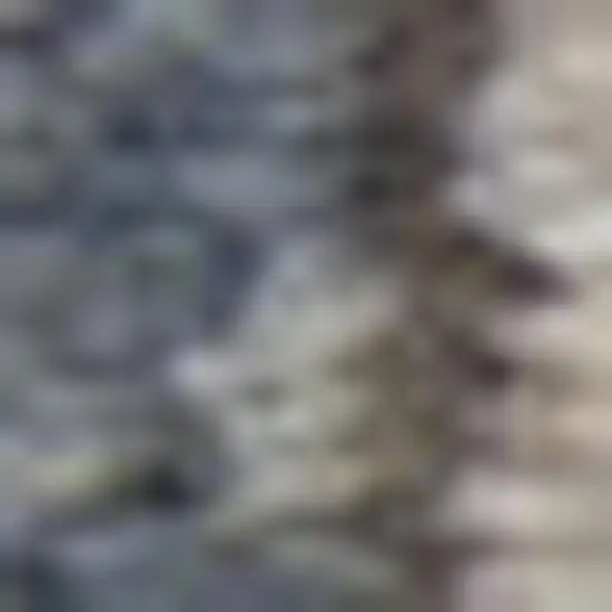 Blue And Beige Oriental Distressed Area Rug Photo 1