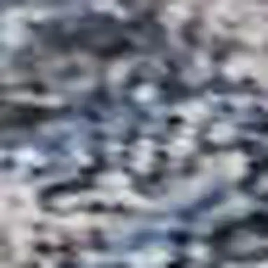 Blue And Brown Oriental Washable Area Rug With UV Protection Photo 2