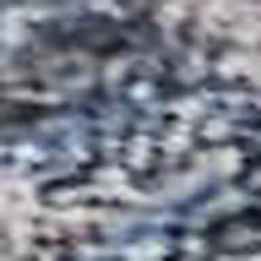 Blue And Brown Oriental Washable Area Rug With UV Protection Photo 2