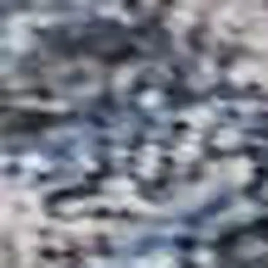 Blue And Brown Oriental Washable Area Rug With UV Protection Photo 2