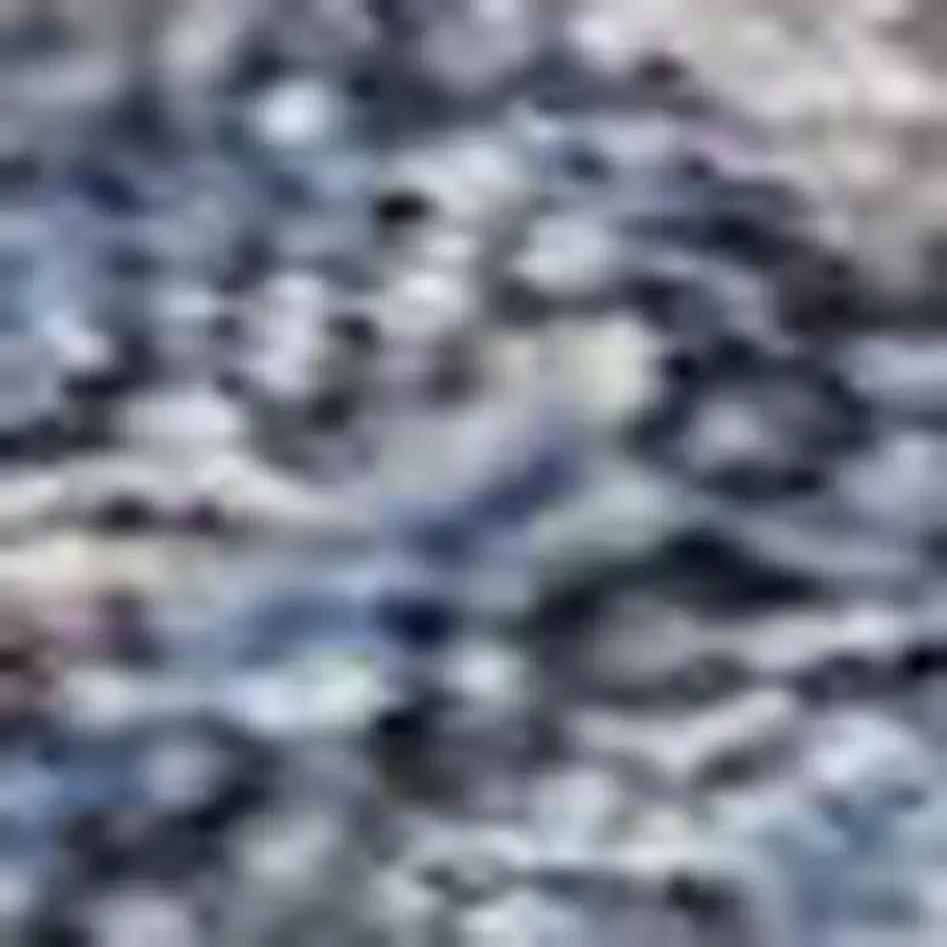 Blue And Brown Oriental Washable Area Rug With UV Protection Photo 2