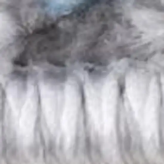 Blue And Cream Abstract Area Rug Photo 5