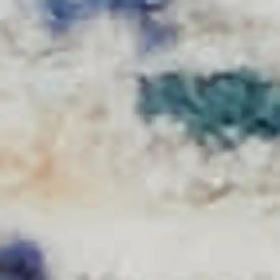 Blue And Cream Floral Non Skid Area Rug With Fringe Photo 2