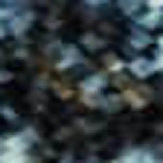 Blue And Gold Floral Washable Area Rug With UV Protection Photo 2