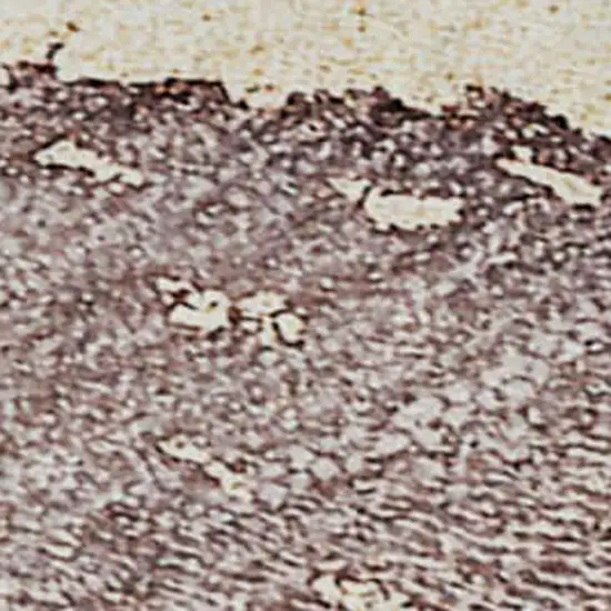 Blue And Green Abstract Washable Area Rug With UV Protection Photo 7