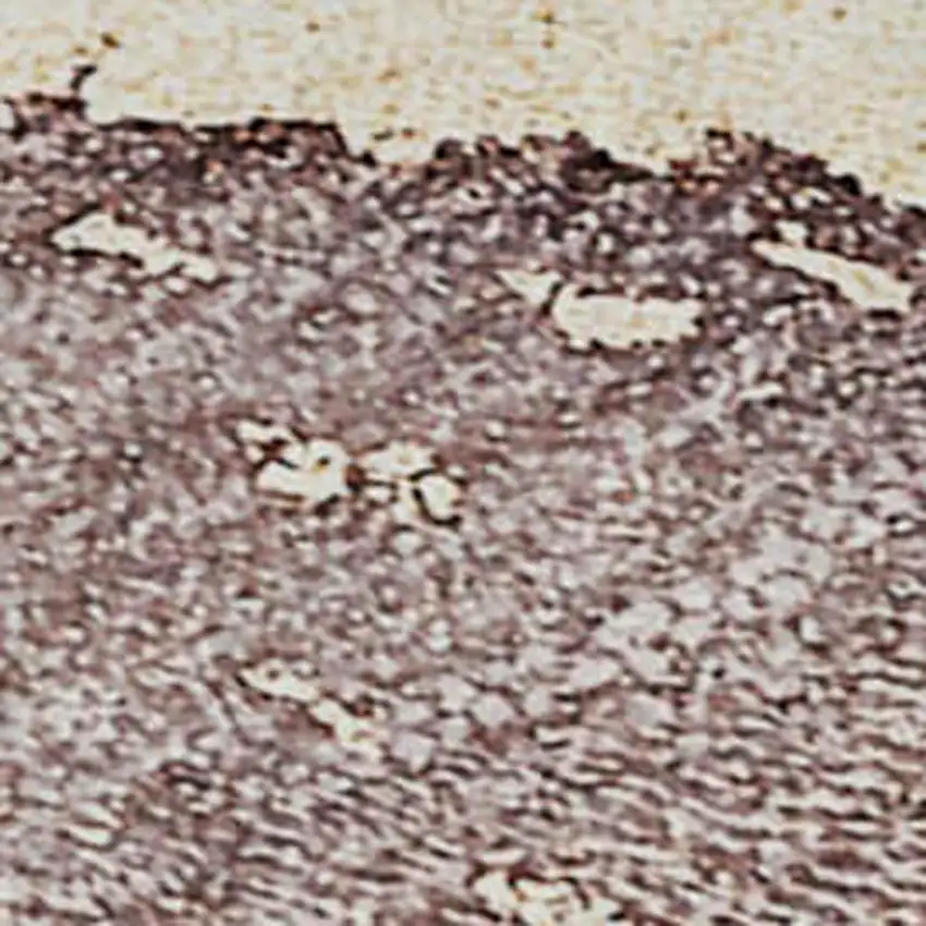 Blue And Green Abstract Washable Area Rug With UV Protection Photo 7