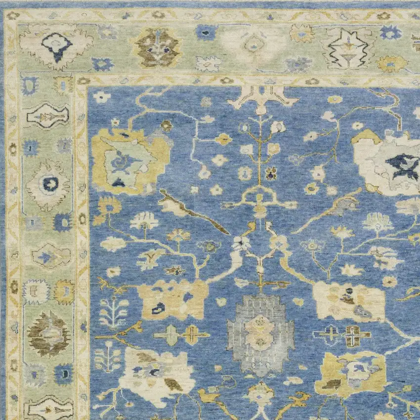 Blue And Green Wool Oriental Hand Knotted Area Rug With Fringe Photo 5