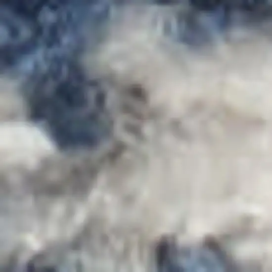 Blue And Grey Oriental Power Loom Non Skid Area Rug Photo 3