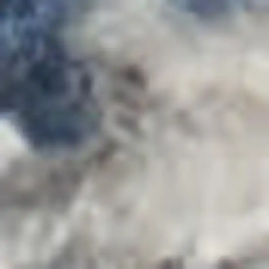 Blue And Grey Oriental Power Loom Non Skid Area Rug Photo 1