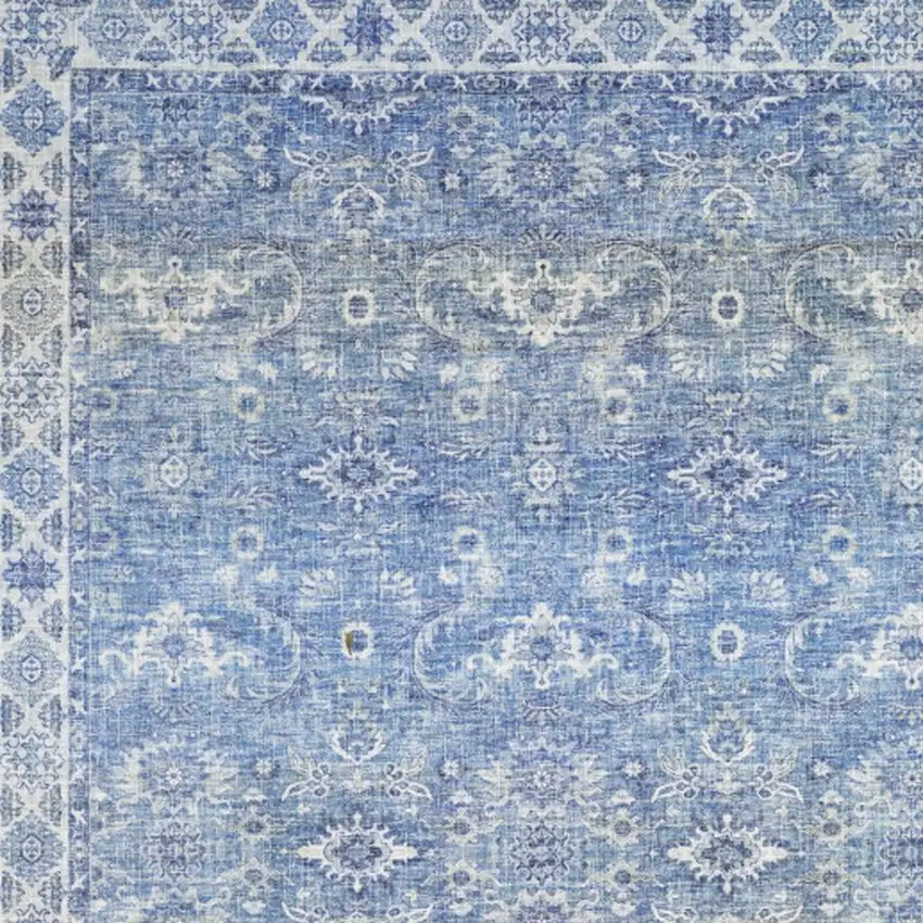 Blue And Grey Oriental Power Loom Stain Resistant Area Rug Photo 4