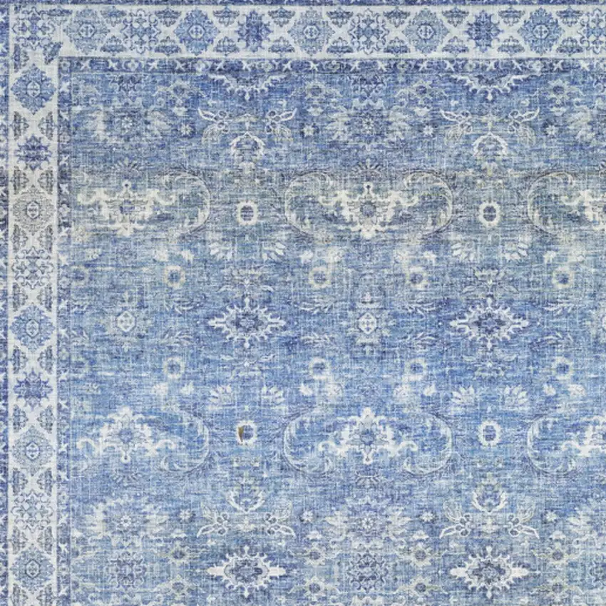 Blue and Gray Oriental Power Loom Area Rug Photo 4