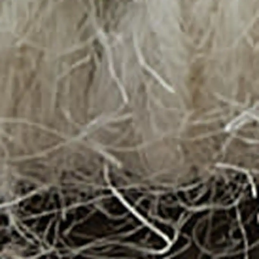 Blue And Ivory Abstract Hand Woven Area Rug Photo 3