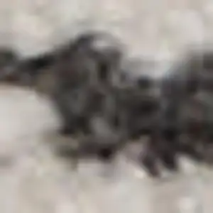 Photo of Blue And Ivory Geometric Area Rug