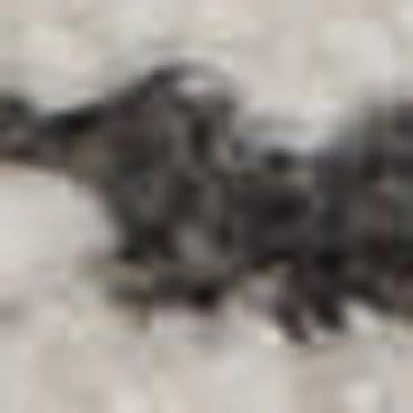 Blue And Ivory Geometric Area Rug Photo 2