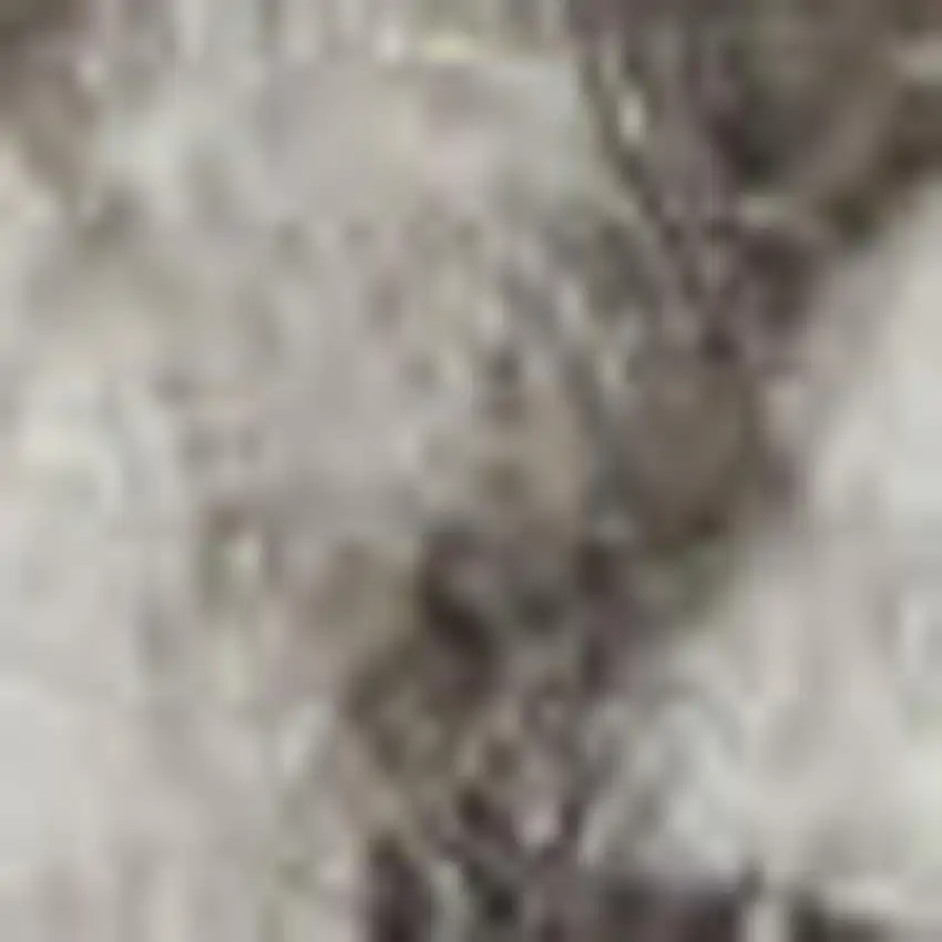 Blue And Ivory Medallion Distressed Area Rug Photo 2