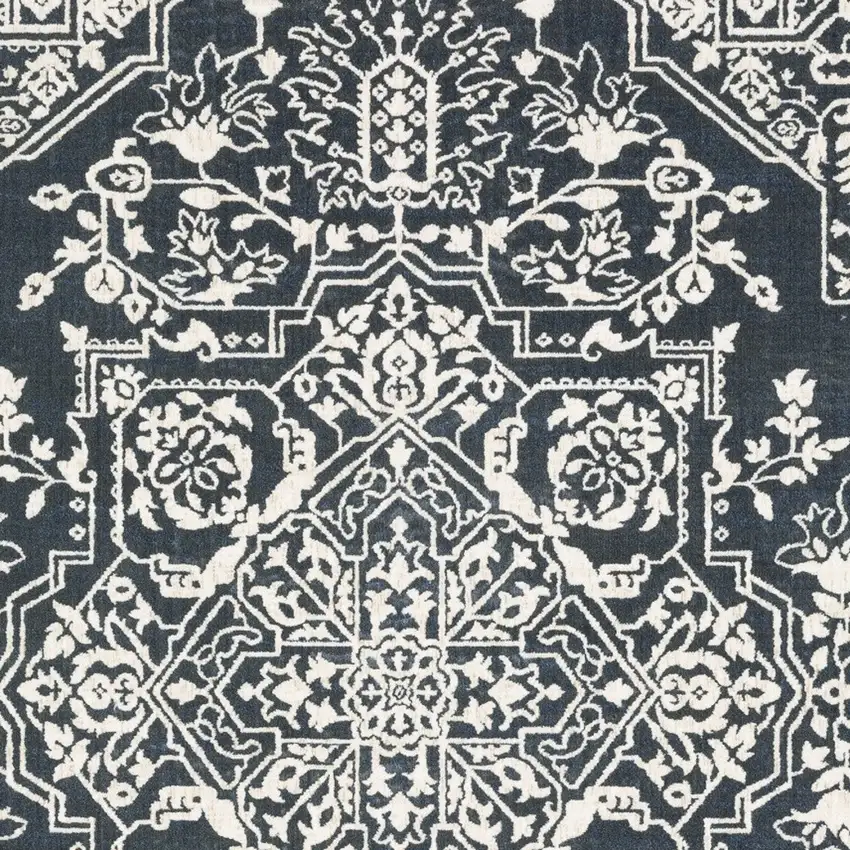 Blue And Ivory Oriental Area Rug Photo 6