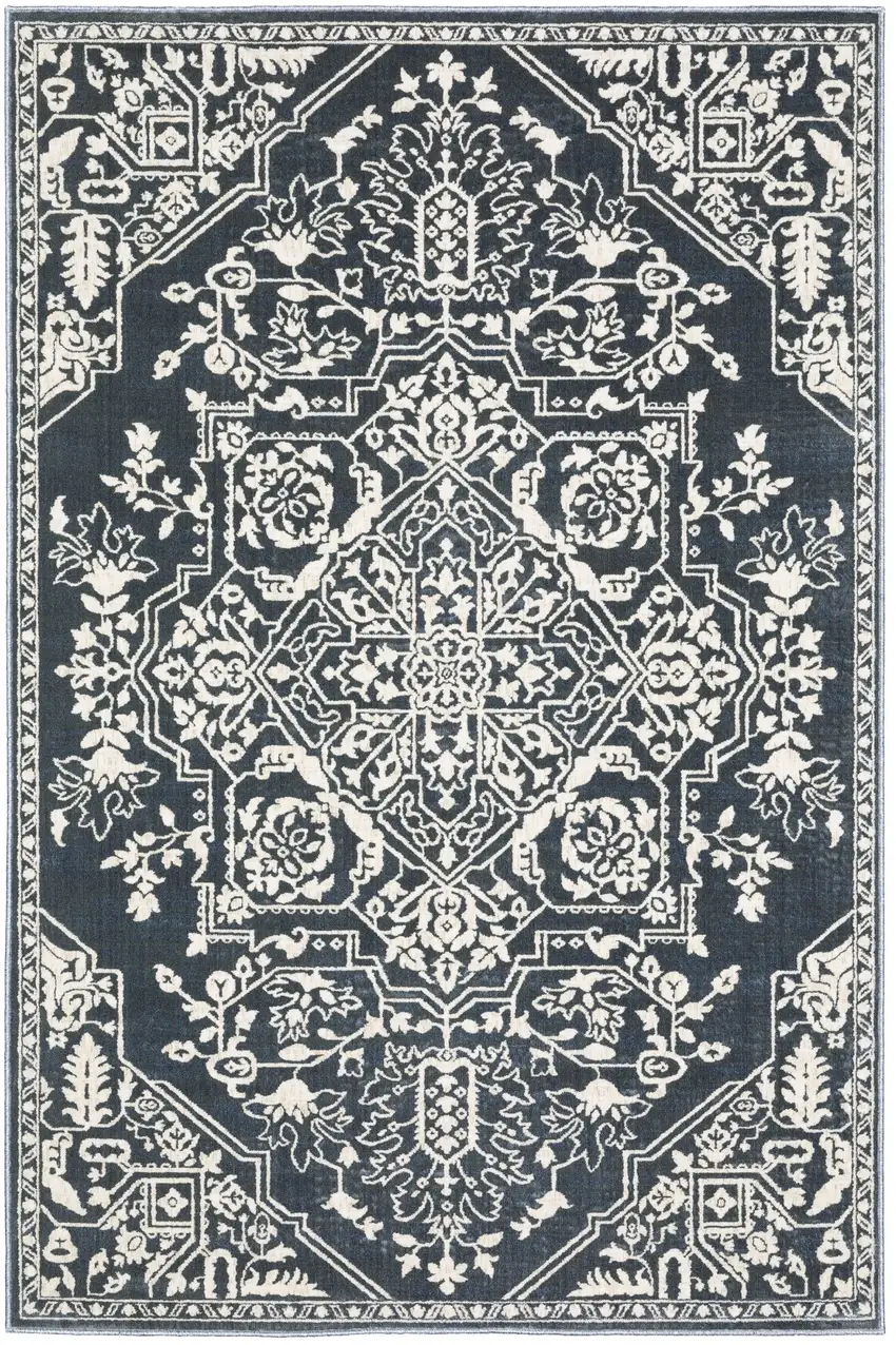 Blue And Ivory Oriental Area Rug Photo 2