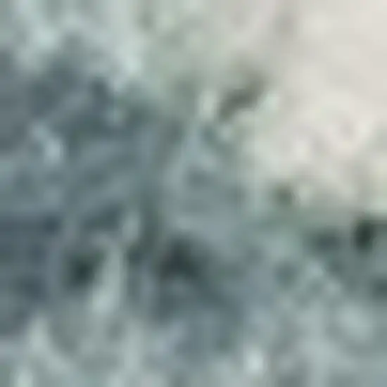 Blue And Ivory Starfish Area Rug Photo 2