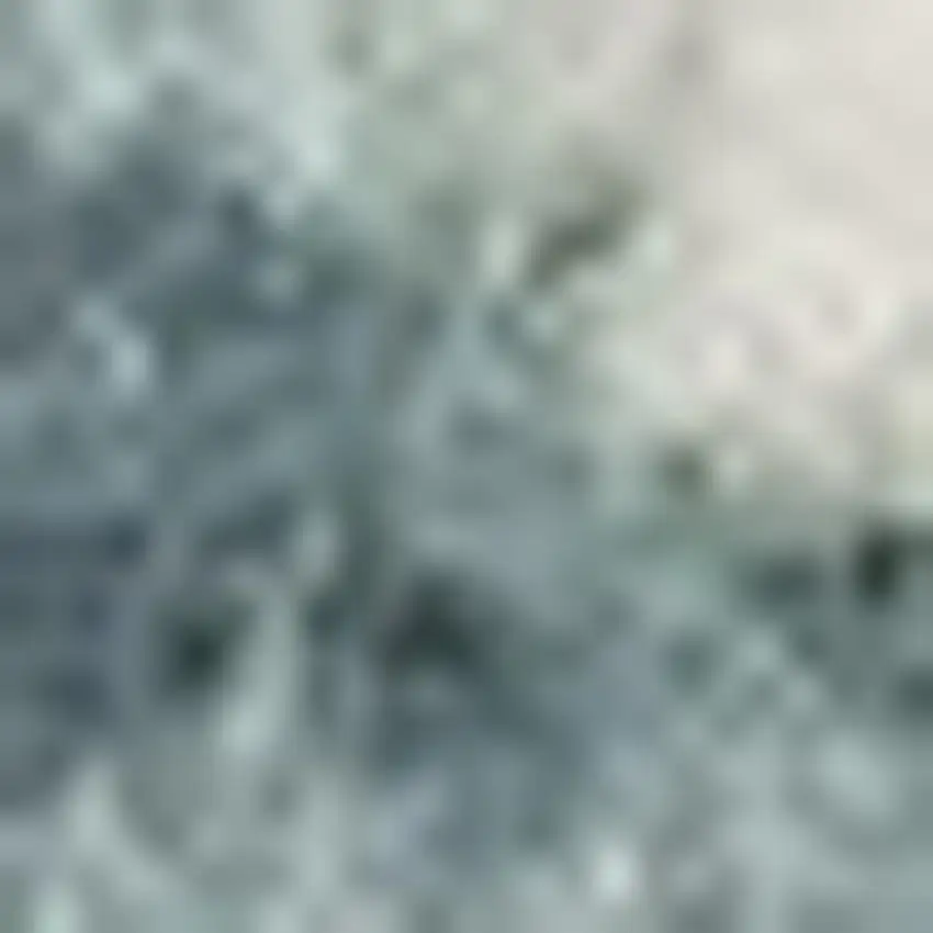 Blue And Ivory Starfish Area Rug Photo 2