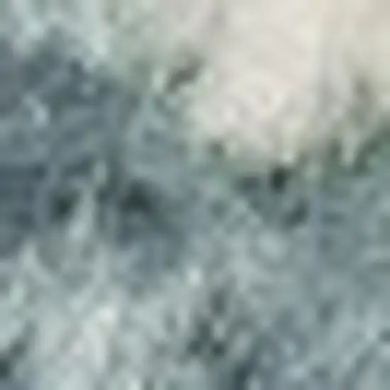 Blue And Ivory Starfish Area Rug Photo 3