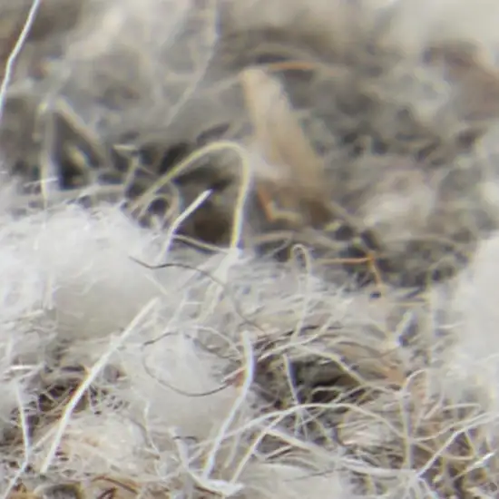 Blue And Ivory Wool Abstract Hand Tufted Area Rug Photo 3