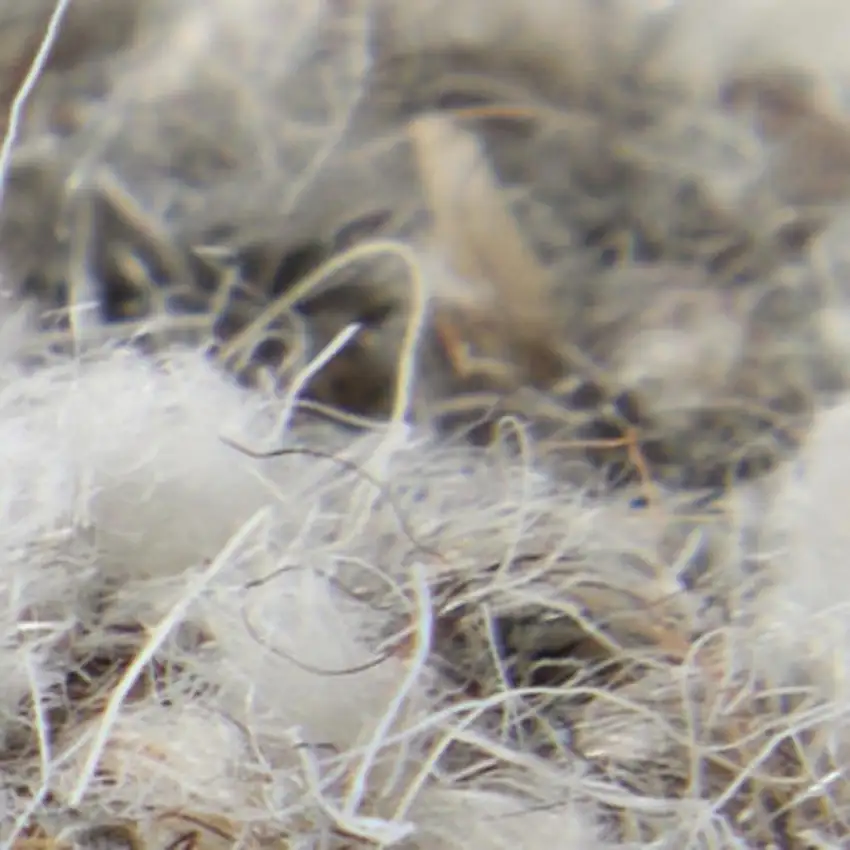 Blue And Ivory Wool Abstract Hand Tufted Area Rug Photo 3