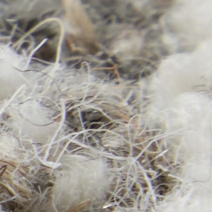 Blue And Ivory Wool Abstract Hand Tufted Area Rug Photo 3