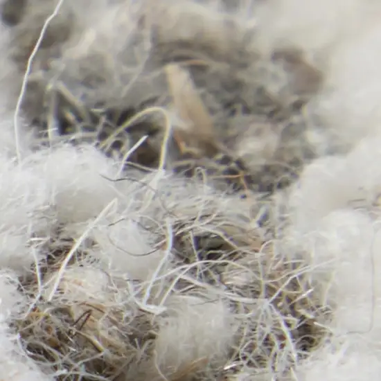 Blue And Ivory Wool Abstract Hand Tufted Area Rug Photo 4