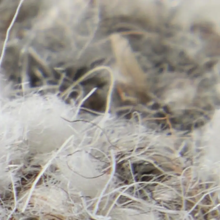 Blue And Ivory Wool Abstract Hand Tufted Area Rug Photo 3