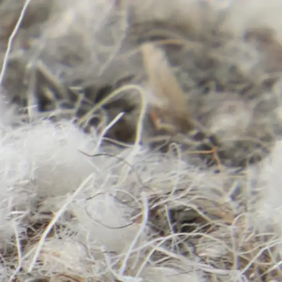 Blue And Ivory Wool Abstract Hand Tufted Area Rug Photo 3