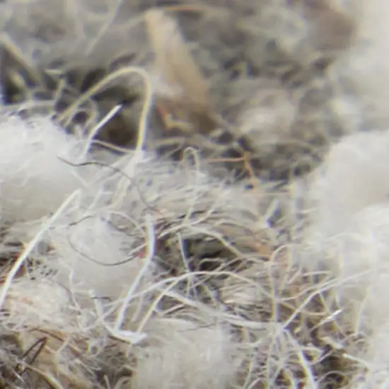 Blue And Ivory Wool Abstract Hand Tufted Area Rug Photo 3