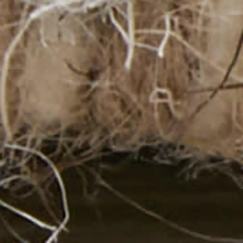 Blue And Ivory Wool Floral Hand Tufted Area Rug Photo 3