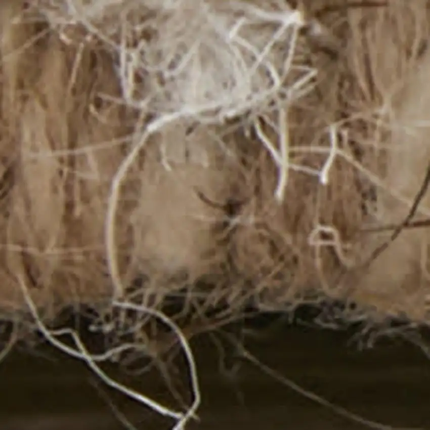 Blue And Ivory Wool Floral Hand Tufted Area Rug Photo 4