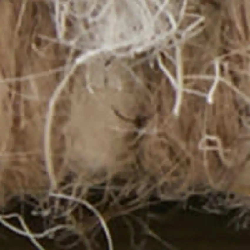 Blue And Ivory Wool Floral Hand Tufted Area Rug Photo 3