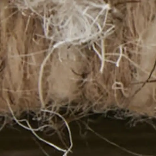 Blue And Ivory Wool Floral Hand Tufted Area Rug Photo 4