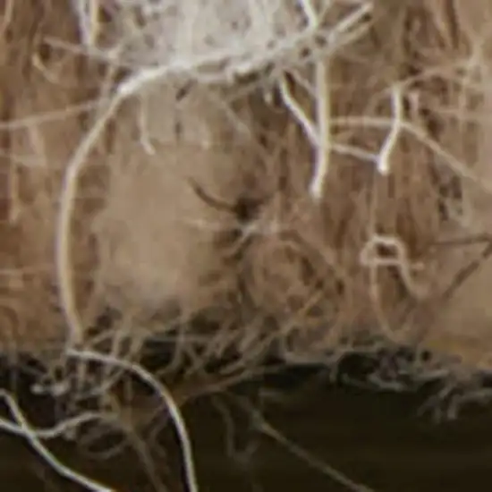 Blue And Ivory Wool Floral Hand Tufted Area Rug Photo 3