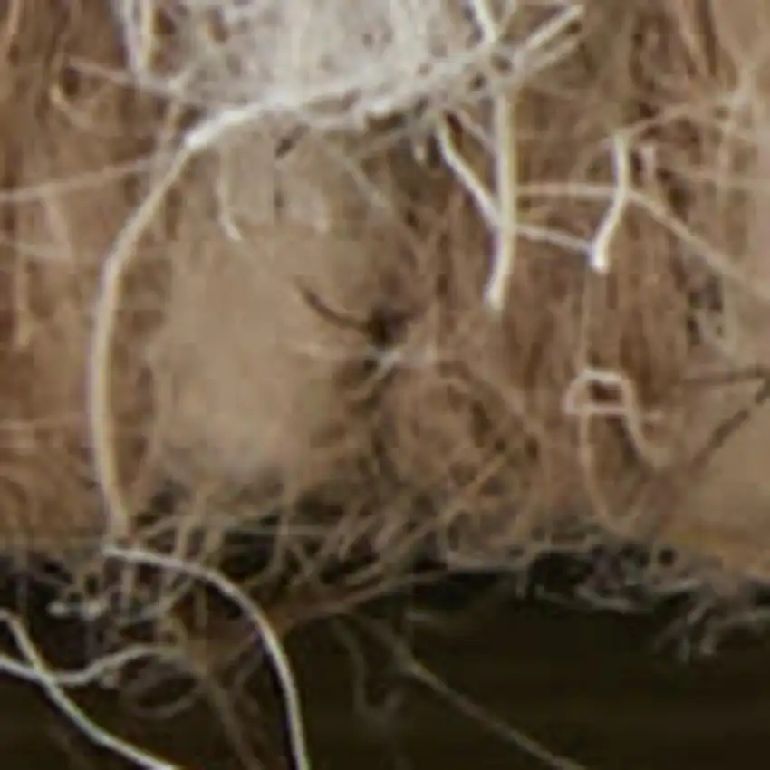 Blue And Ivory Wool Floral Hand Tufted Area Rug Photo 3